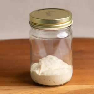 Sourdough Starter